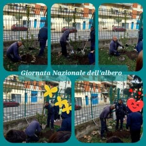 giornata nazionale degli alberi